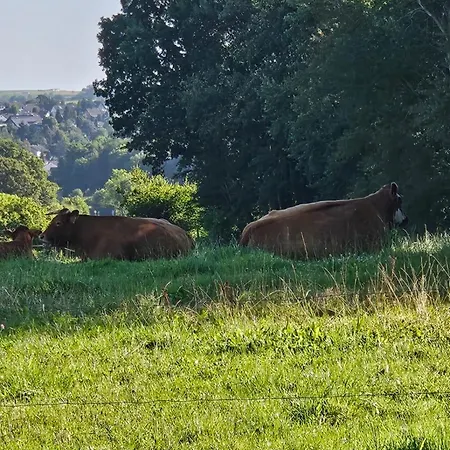 Kleine Jagdhuette Kall