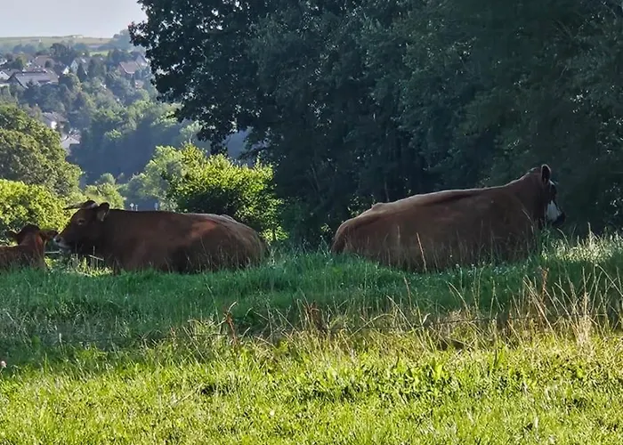 Kleine Jagdhuette Kall